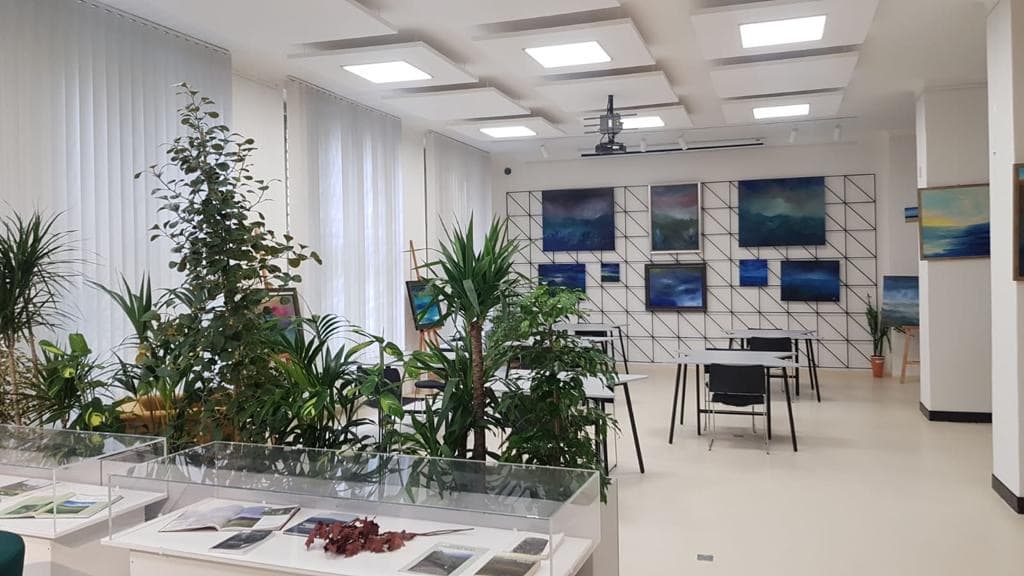 knihovna-antonina-svehly