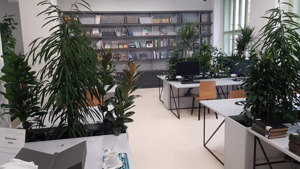 knihovna-antonina-svehly